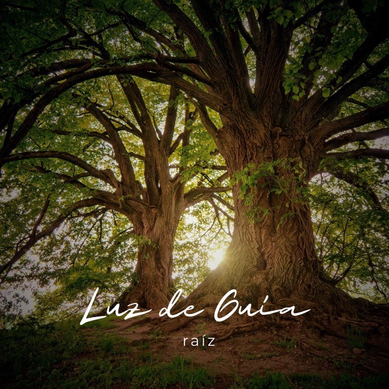 Portada del álbum Raíz